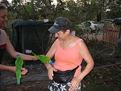 CairnsTC162 Granite Gorge